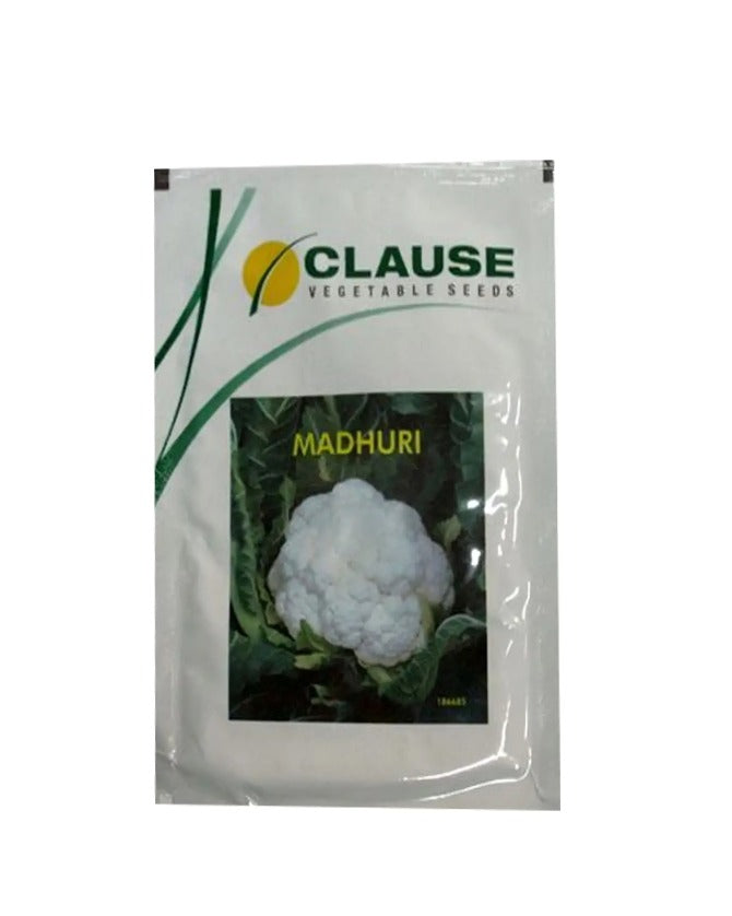 Hm Clause Madhuri F1 Hybrid Cauliflower Seed