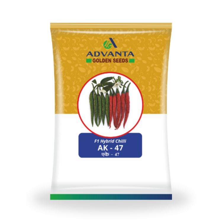 Advanta Golden Seeds AK-47 F1 Hybrid Chilli Seeds