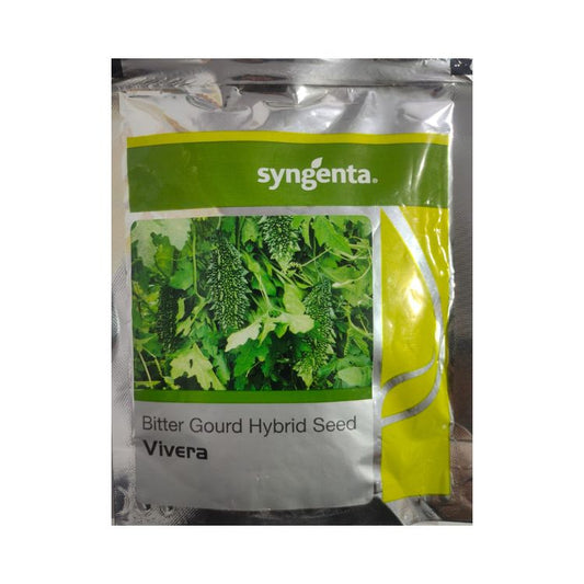 Syngenta Vivera Bitter Gourd Hybrid Seeds 500 SD