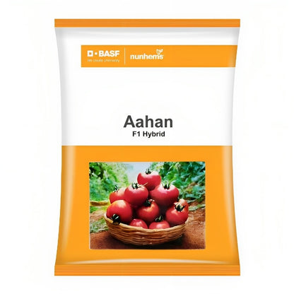 BASF nunhems Aahan F1 Hybrid Tomato Seeds