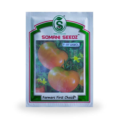 Somani Seedz Anmol Tomato F1 Hybrid Seed 10 gm