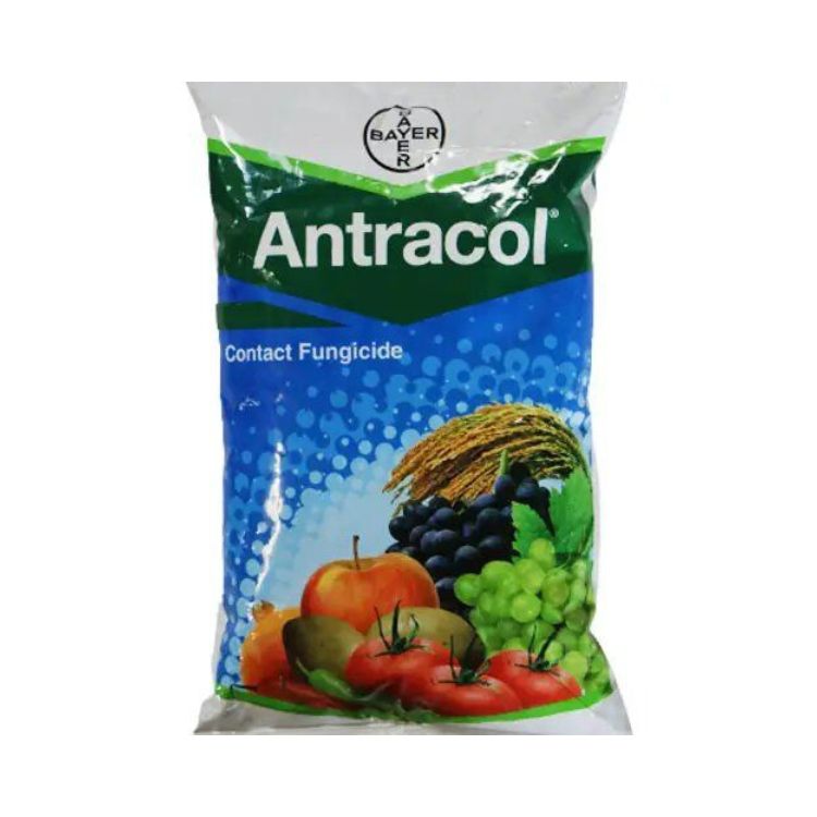 Bayer Antracol (Propineb 70% WP) Fungicide