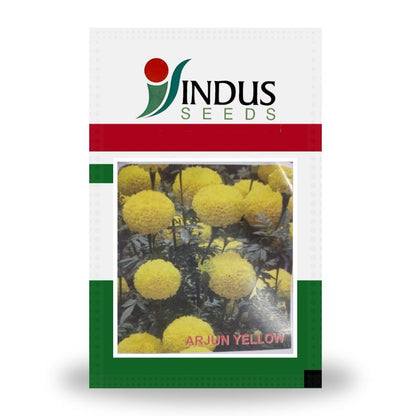 Indus Arjun Yellow F1 Hybrid Marigold Seeds