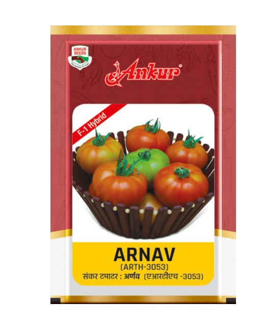 Ankur Arnav ARTH-3053 F -1 Hybrid Tomato Seeds