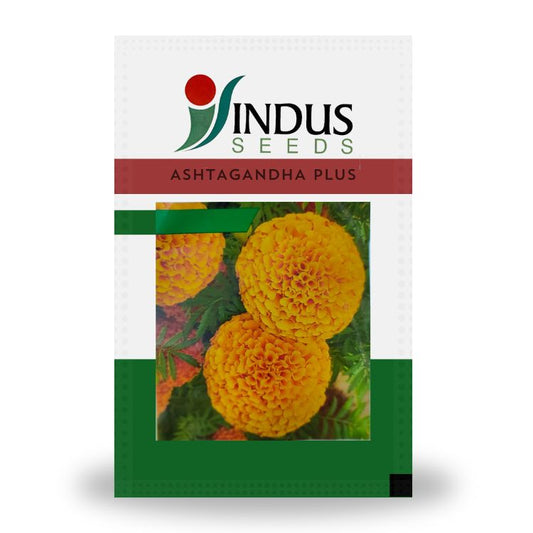 Indus Ashtagandha Plus F1 Hybrid Marigold Seeds