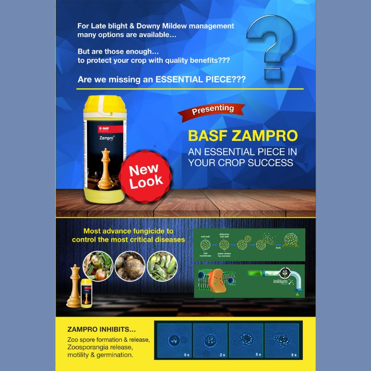 BASF Zampro (Ametoctradin 27% + Dimethomorph 20.27% SC ) Fungicide