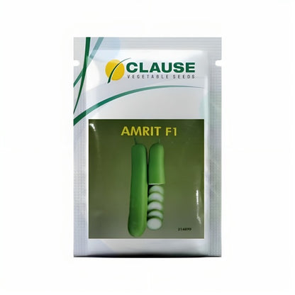 Hm Clause Amrit F1 Hybrid Bottle Gourd Seed