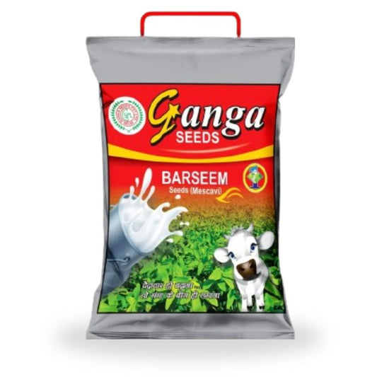 Ganga Seeds Barseem Mescavi 1 Kg