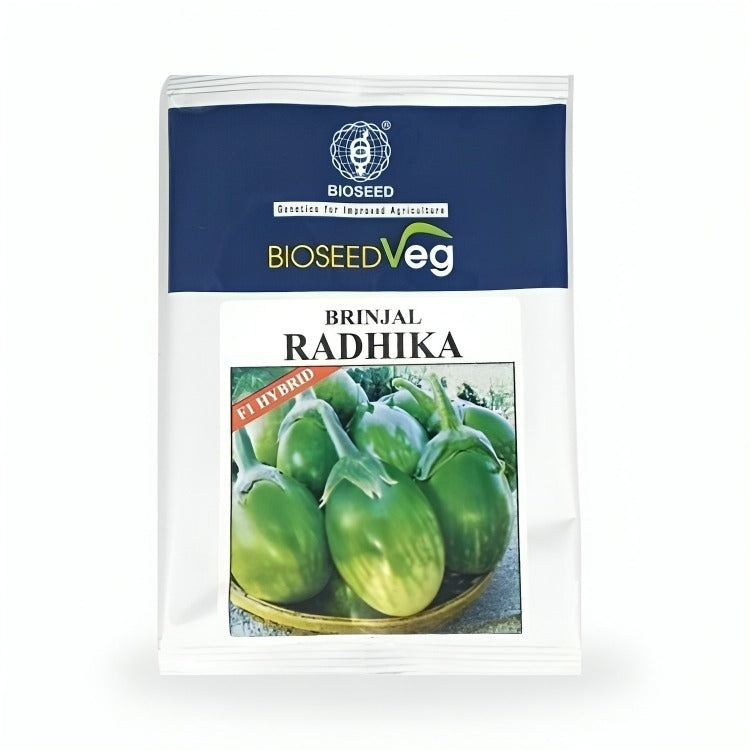 Bioseed Radhika Brinjal F1 Hybrid Seeds