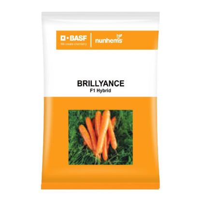 BASF nunhems Brillyance F1 Hybrid Carrot Seeds