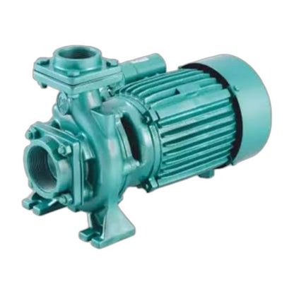 C.R.I 2HP Centrifugal Monoblock Pumpset (S/ACM-21)