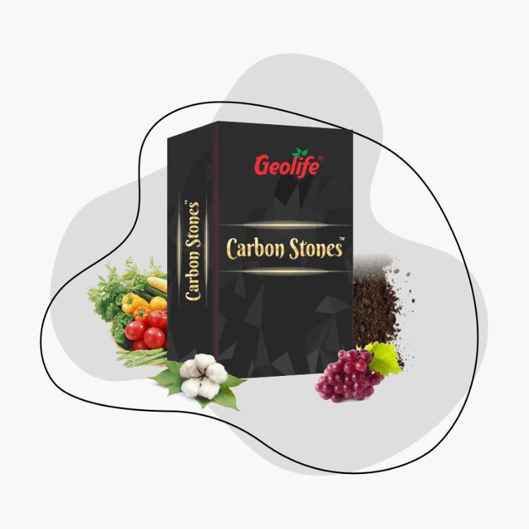Geolife Carbon Stones Concentrated Organic Carbon Nutrient