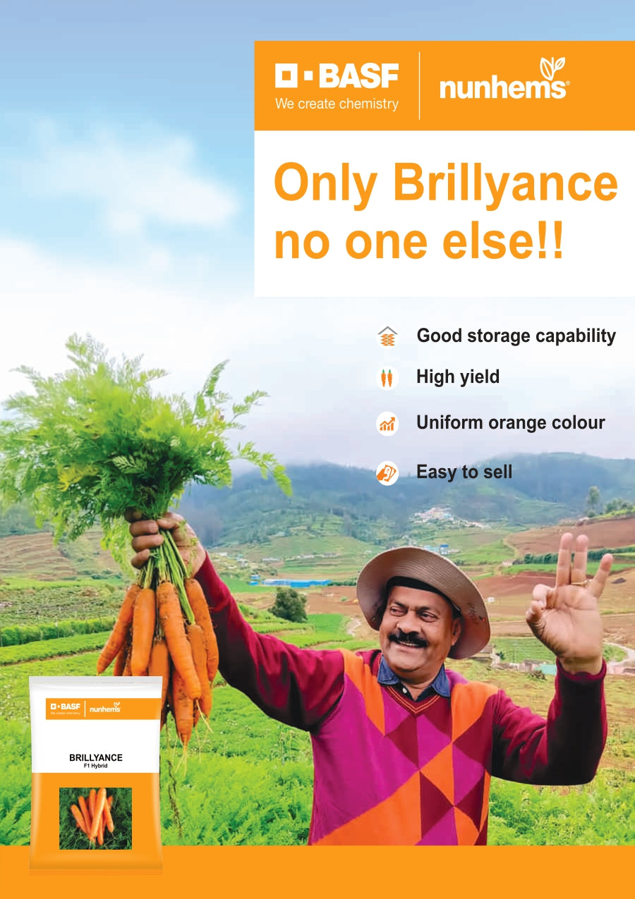 BASF nunhems Brillyance F1 Hybrid Carrot Seeds Cultree India