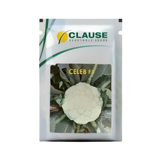 Hm Clause Celeb F1 Hybrid Cauliflower Seed