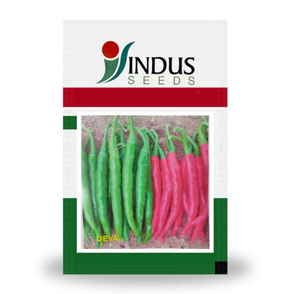 Indus Deva F1 Hybrid Chilli Seeds