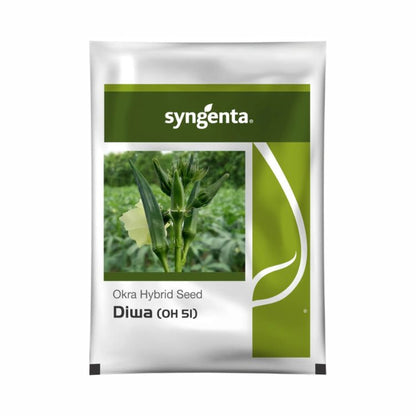 Syngenta Diwa (OH 51) Okra Hybrid Seeds 250 gm