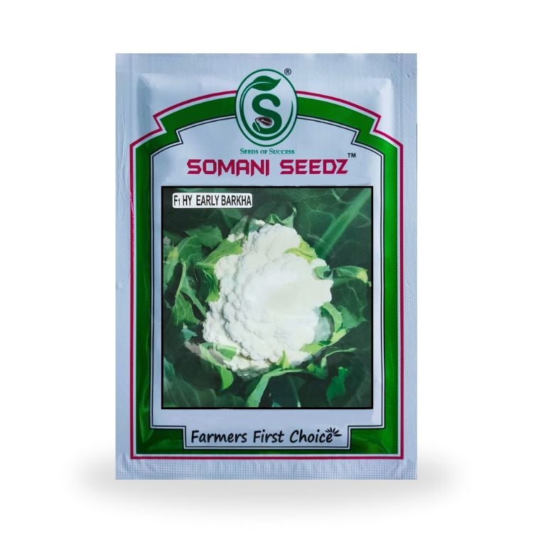 Somani Seedz Early Barkha Cauliflower Hybrid Seed 10 gm