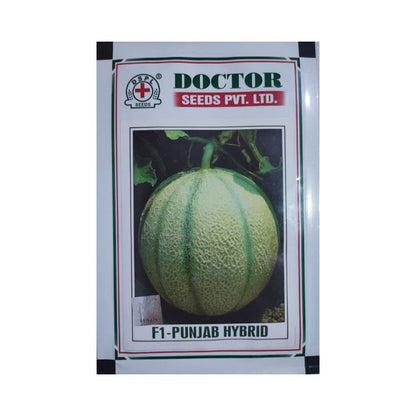 Doctor Seeds Punjab F1 Hybrid Musk Melon Seeds