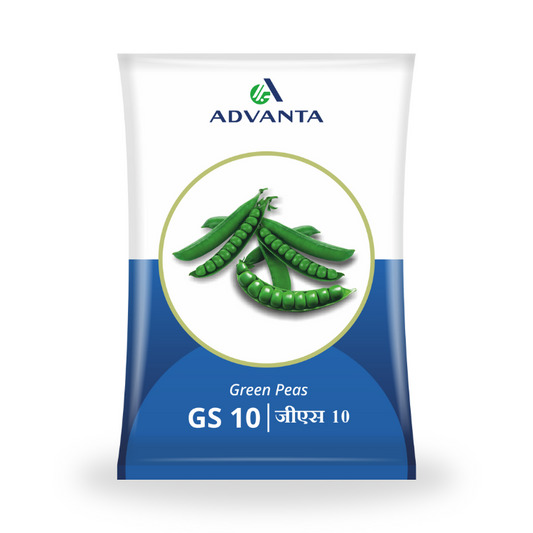 Advanta Seeds GS 10 Green Peas