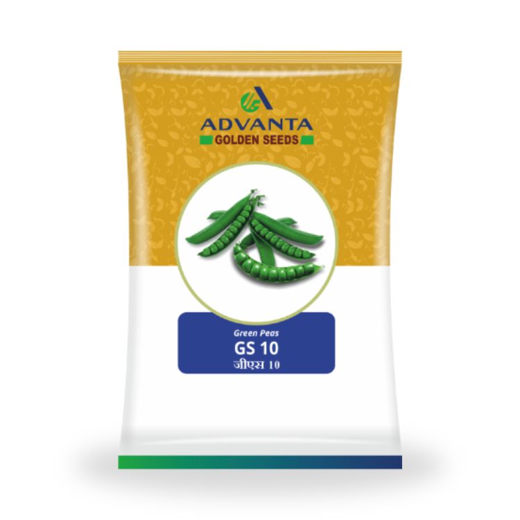 Advanta Golden Seeds GS 10 Green Peas – Cultree India