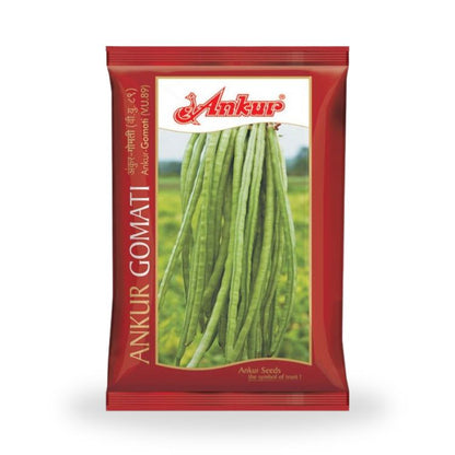 Ankur Gomati (V.U.89) Lobia Seeds