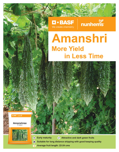 BASF nunhems Amanshri F1 Hybrid Bitter Gourd Seeds