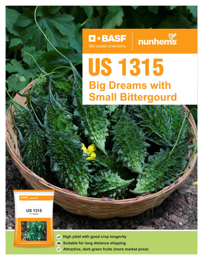 BASF nunhems US 1315 F1 Hybrid Bitter Gourd Seeds
