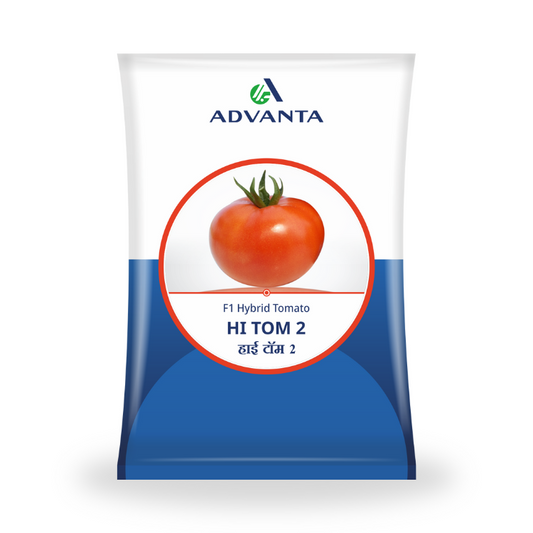 Advanta Seeds HI TOM 2 F1 Hybrid Tomato Seeds