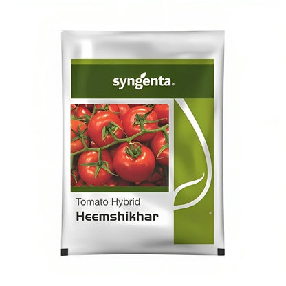 Syngenta Heemshikhar Tomato Hybrid Seeds 4000SD