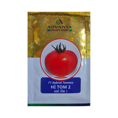 Advanta Golden Seeds HI TOM 2 F1 Hybrid Tomato Seeds