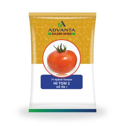 Advanta Golden Seeds HI TOM 2 F1 Hybrid Tomato Seeds