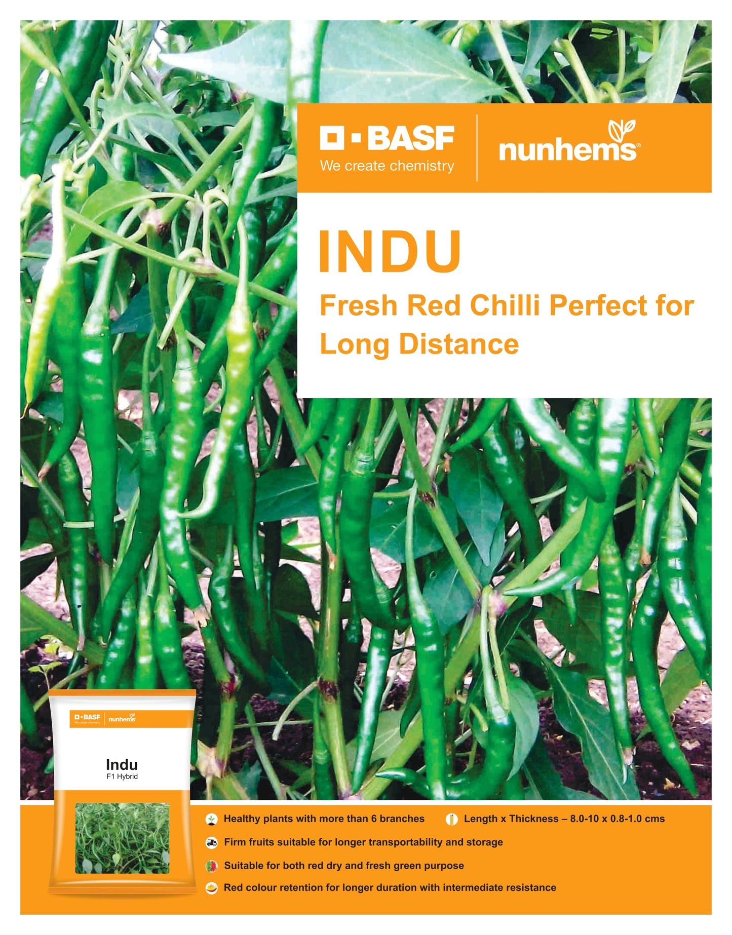 BASF nunhems Indu F1 Hybrid Hot Pepper Seeds