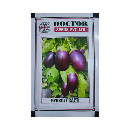 Doctor Seeds Prapti F1 Hybrid Brinjal Seeds