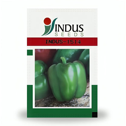 Indus Indus-1514 F1 Hybrid Capsicum Seeds