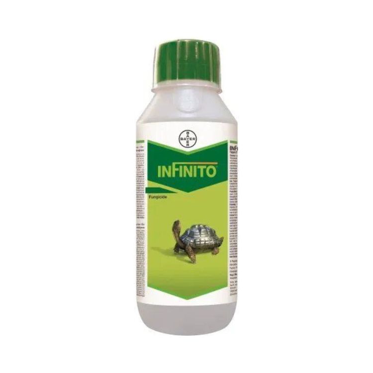Bayer Infinito (Fluopicolide 5.56% W/W + Propamocarb Hydrochloride 55.6% W/W SC) Fungicide