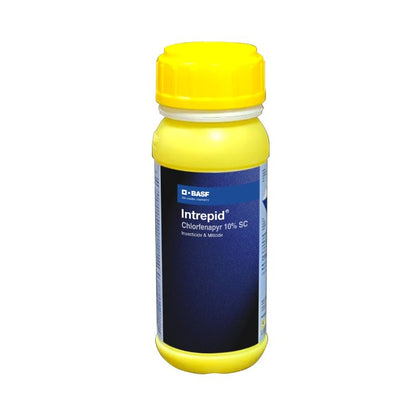 BASF Intrepid (Chlorfenapyr 10% SC) Insecticide