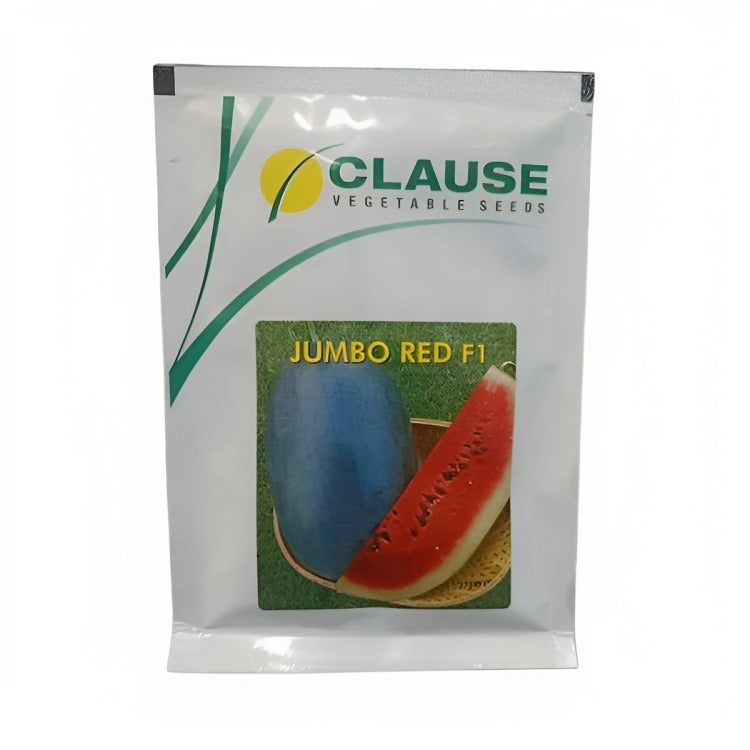 Hm Clause Jumbo Red F1 Hybrid Watermelon Seed