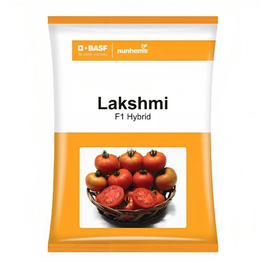 BASF nunhems Lakshmi F1 Hybrid Tomato Seeds