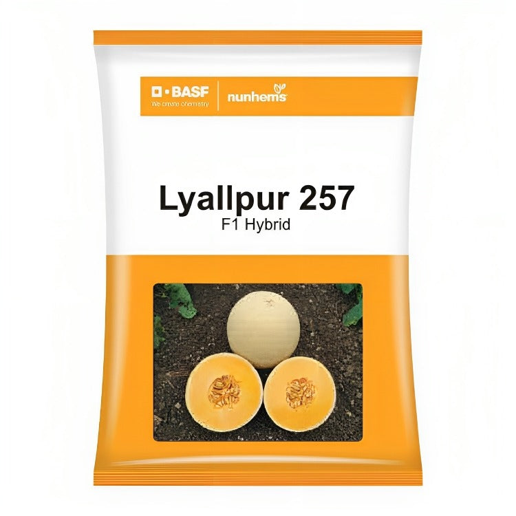 BASF nunhems Lyallpur 257 F1 Hybrid Muskmelon Seeds