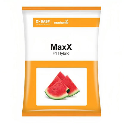 BASF nunhems MaxX F1 Hybrid Watermelon Seeds