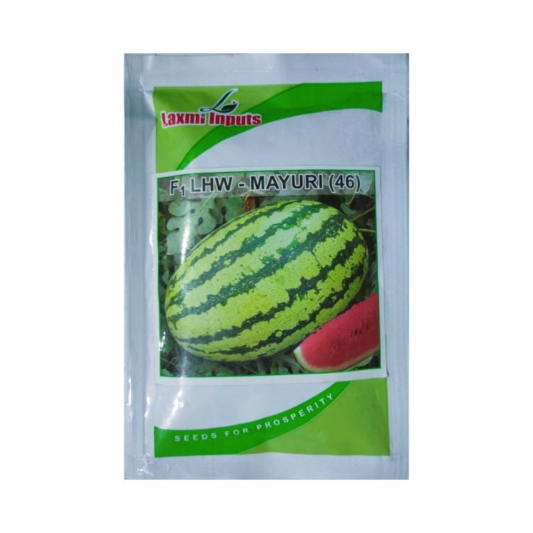 Laxmi Inputs F1 LHW-Mayuri (46) Watermelon Seeds
