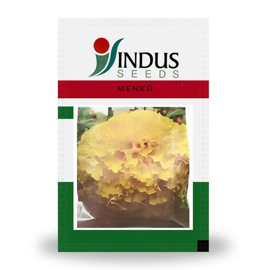 Indus Menka F1 Hybrid Marigold Seeds