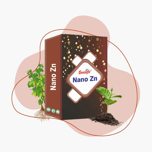 Geolife Nano Zn (12%) Chelated Zinc as a Zn-EDTA - 12% Macro Nutrient Fertilizer