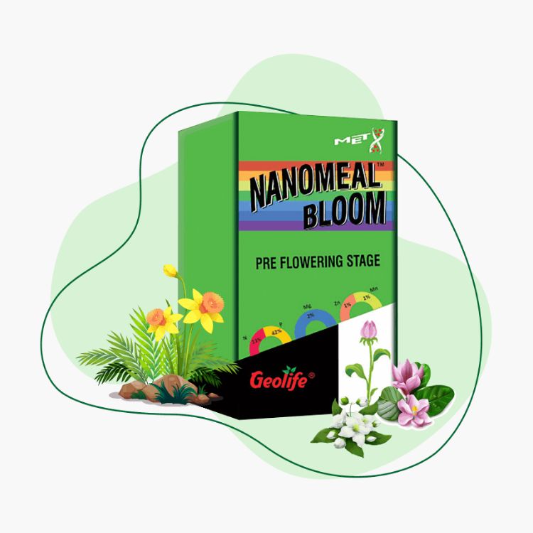 Geolife Nanomeal Bloom For Pre Flowering Stage 100% Water Soluble Mixture Of Fertilizer