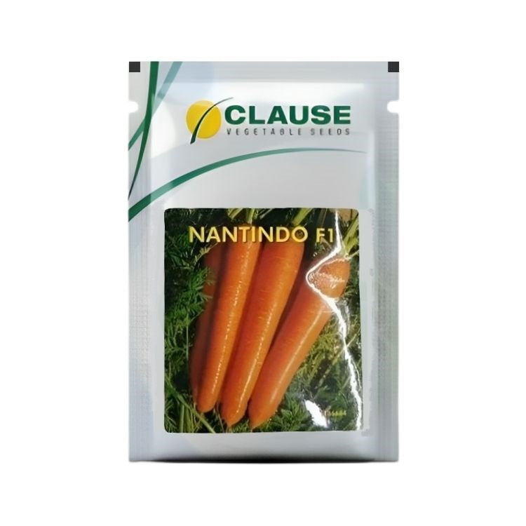 Hm Clause Nantindo F1 Hybrid Carrot Seed