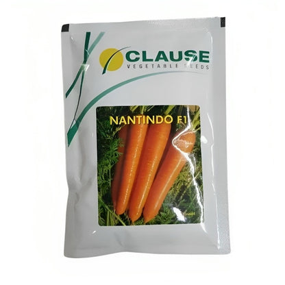 Hm Clause Nantindo F1 Hybrid Carrot Seed
