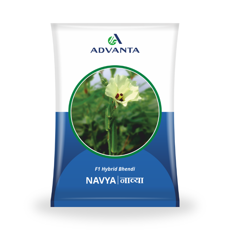 Advanta Seeds Navya Hybrid Bhendi Seeds
