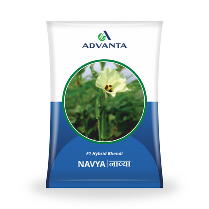Advanta Seeds Navya Hybrid Bhendi Seeds