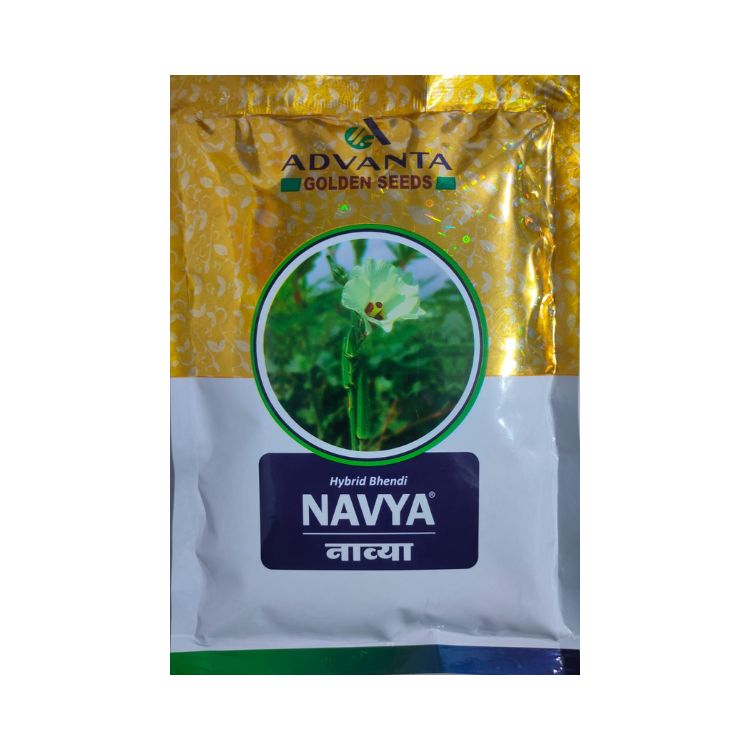 Advanta Golden Seeds Navya Hybrid Bhendi Seeds