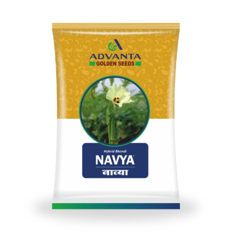 Advanta Golden Seeds Navya Hybrid Bhendi Seeds